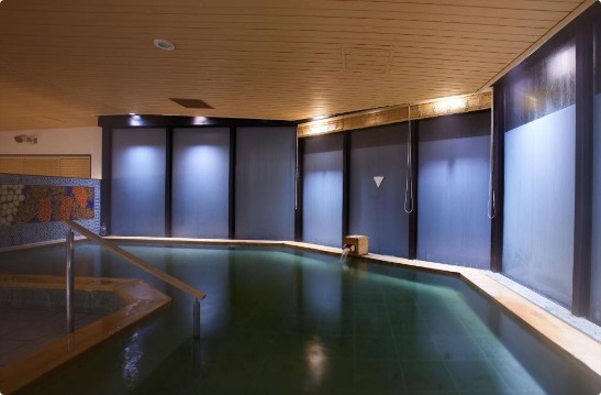 Hatoya Zuihokaku hotel with onsen near Kyoto Station