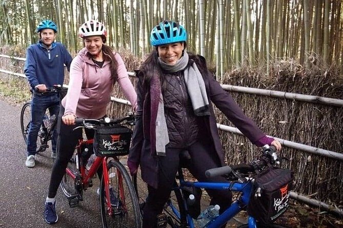 5 Top Highlights of Kyoto Full Day Bike Tour (E-bike option) - The ride setup: traditional bike vs e-bike, and when to choose what