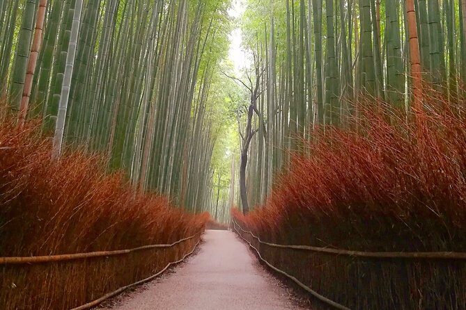 5 Top Highlights of Kyoto Full Day Bike Tour (E-bike option) - Stop 5: Kinkakuji (Golden Pavilion) and the timing sweet spot