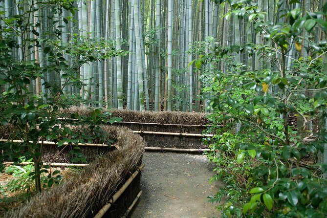 Arashiyama Bamboo Forest E-Biking Tour - Why an Arashiyama e-bike tour feels like a smart Kyoto shortcut