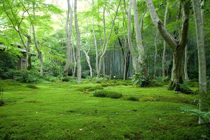Arashiyama Bamboo Forest E-Biking Tour - The ride between stops: real Kyoto views, not just landmarks