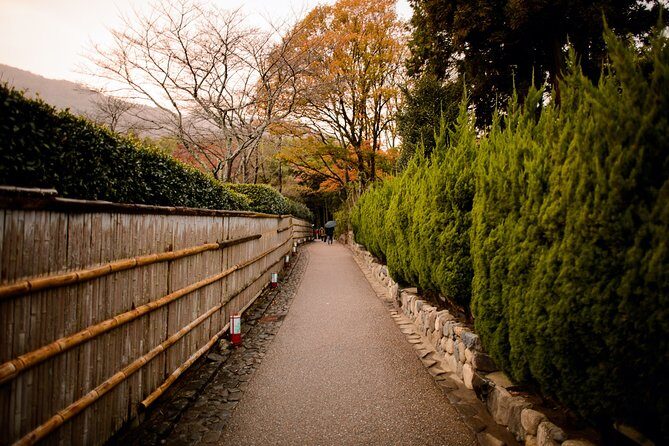 Arashiyama Bamboo Forest E-Biking Tour - Electric assist on hills: what to expect (and how to stay comfortable)