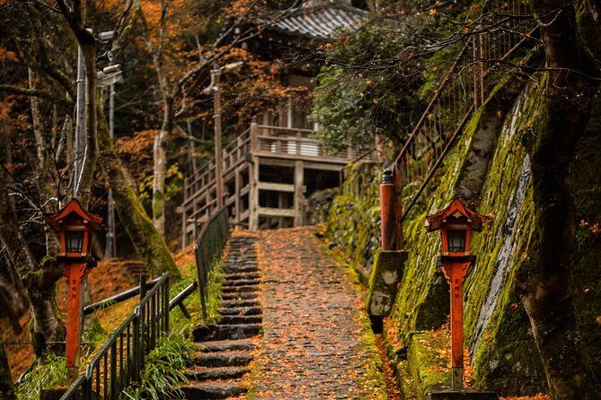 Arashiyama Bamboo Forest E-Biking Tour - Photo strategy: how to get great shots without delaying the group