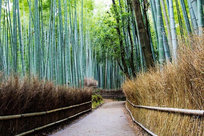 Arashiyama from Kyoto: Private & Personalized with a Local Guide - Monkey Park Iwatayama: a steep hike with big payoffs