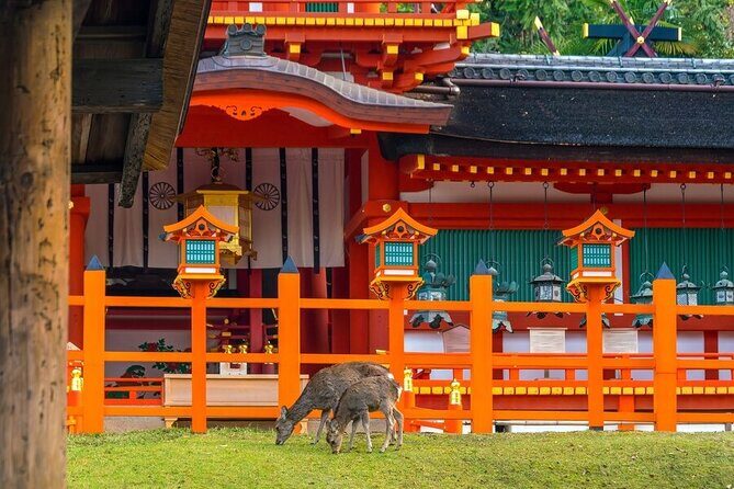 Arashiyama & Nara Highlights: One-Day Private Tour Adventure - Todaiji Temple and the Great Buddha Hall: The Main Sacred Moment
