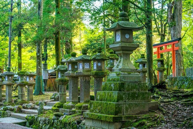 Arashiyama & Nara Highlights: One-Day Private Tour Adventure - Kasuga Grand Shrine: Short, Atmospheric, and Built for Lantern Fans