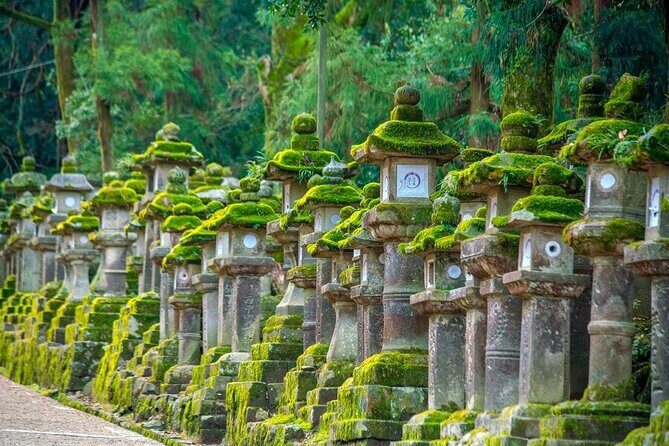 Arashiyama & Nara Highlights: One-Day Private Tour Adventure - Private Tour Value: Price, Entry Fees, and the Cash-to-Driver Reality