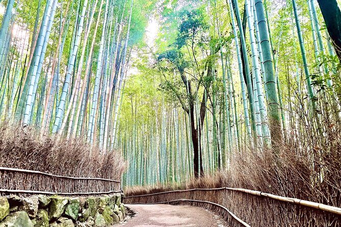Bamboo Grove Temple and Garden Views Tour - Key reasons this tour is worth your time