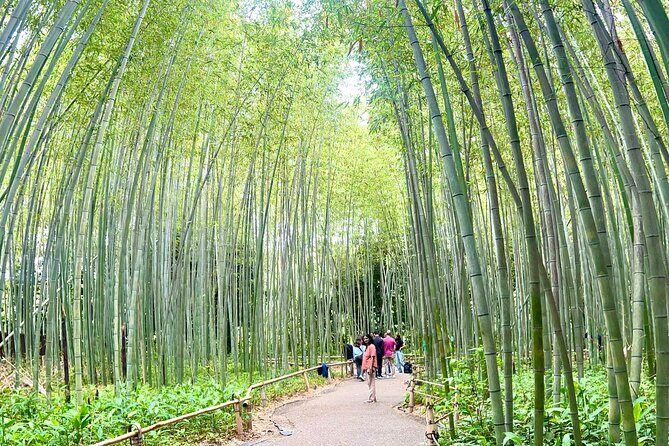 Bamboo Grove Temple and Garden Views Tour - Meeting points and moving between sights (without stressing)