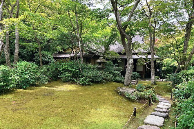 Bamboo Grove Temple and Garden Views Tour - Iwatayama Monkey Park: the hike, the payoff, and pacing tricks
