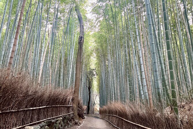 Bamboo Grove Temple and Garden Views Tour - Tenryu-ji Temple gardens: Zen calm with UNESCO-level context