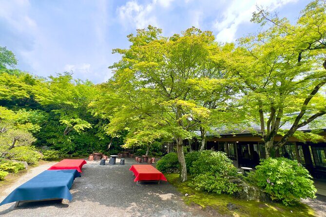 Bamboo Grove Temple and Garden Views Tour - Nonomiya Jinja in a bamboo grove: a smaller stop that changes the mood