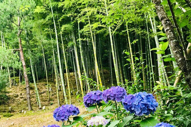 Bamboo LED Lantern Making Experience in Kyoto Arashiyama - Price and Value: Is $79.26 a Good Deal?