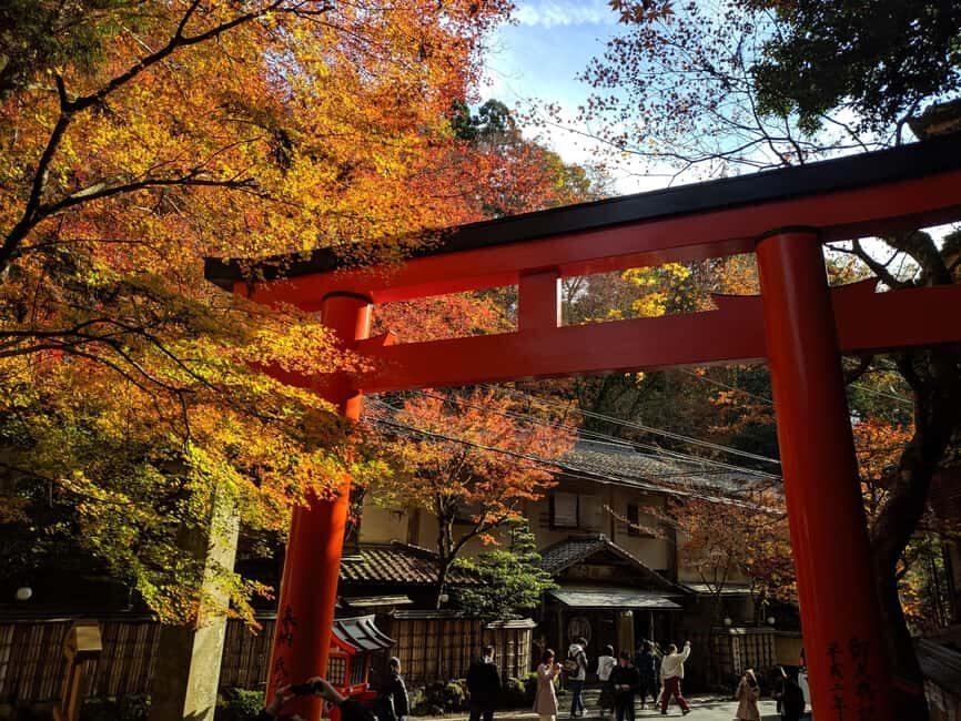 Craig's Kyoto Private Luxury Alphard Tour / The Early Riser - How Craig builds your day: icons first, then smart adjustments