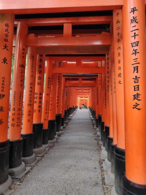 Craig's Kyoto Private Luxury Alphard Tour / The Early Riser - The ride-and-stop rhythm: 5–6 hours that end before lunch