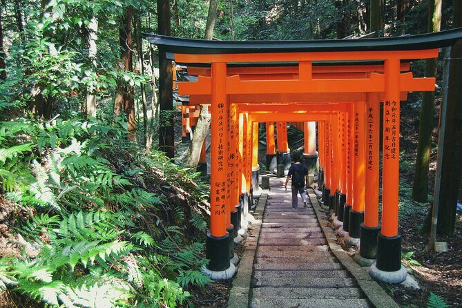Crowd-Free Kyoto: Fushimi Inari, Nijo Castle & Kinkaku-ji - Why the private guide makes the day feel different