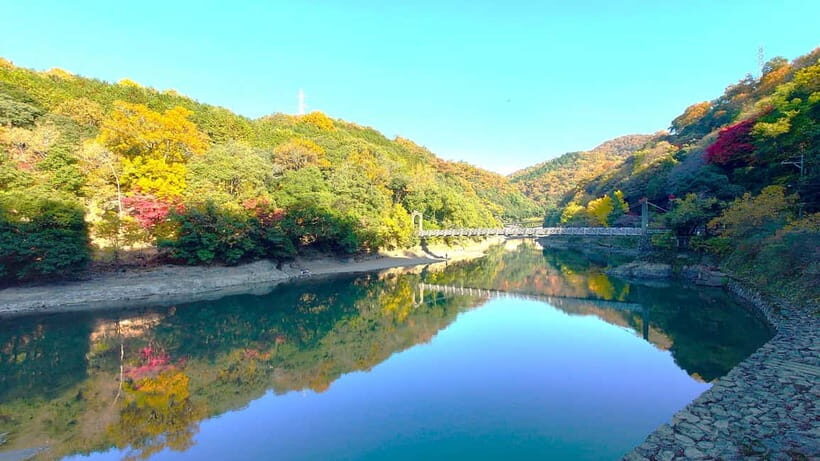 Cycling Tour at Uji's Matcha Green Tea Fields and Heritage - Chazuna: the matcha stop that turns sightseeing into tasting