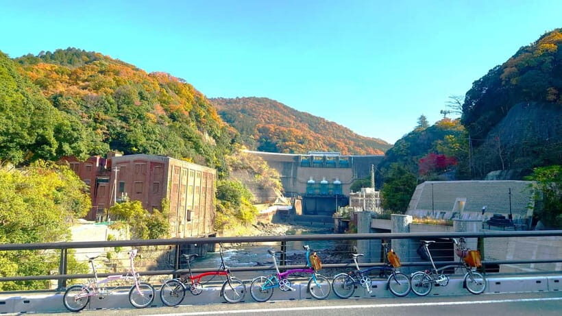 Cycling Tour at Uji's Matcha Green Tea Fields and Heritage - Price and logistics: what $160 buys you