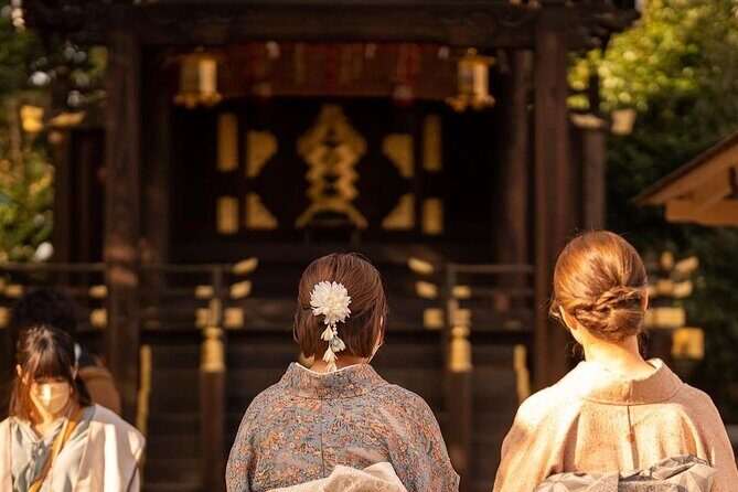 Discovering Kyoto A Tailored Private Tour of the City's Treasures - Key highlights you’ll actually feel