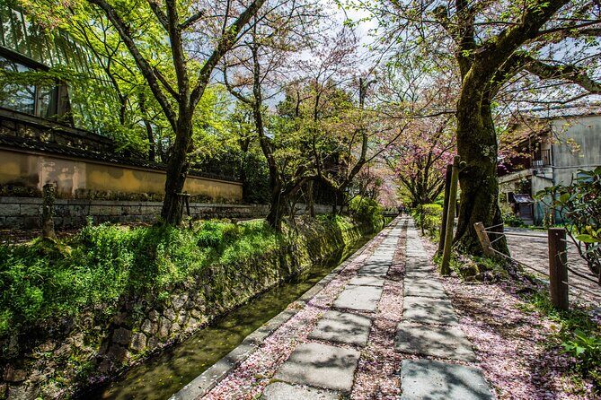 Early Bird E-biking through East Kyoto - Ginkakuji, Philosopher’s Path, and Nanzenji on Foot