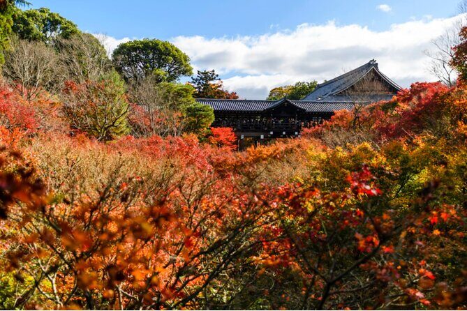 Early Bird E-biking through East Kyoto - Heian Shrine, Gion Backstreets, and Higashi Hongan-ji’s Cafe Stop