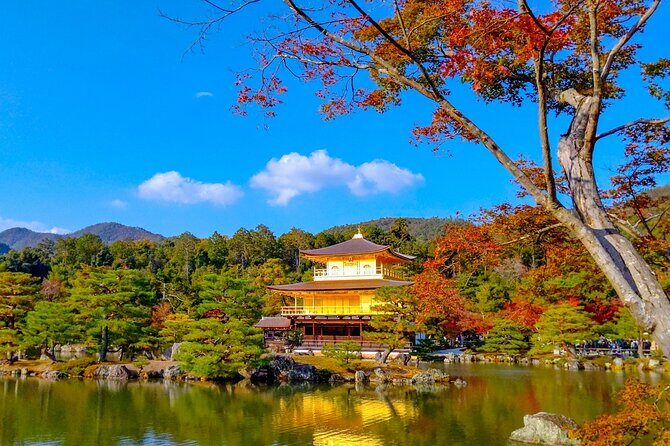 Explore Kyoto | Private Tour - Local English Driver(guide option) - Timing That Matters: 6 to 10 Hours, Plus Lunch and Travel Lulls