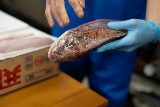 Fish Cutting workshop in Kyoto Japan - Small group size: why it matters more than you think