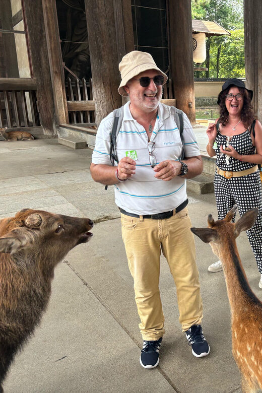 From Kyoto: Nara Guided Morning Tour - Getting to Nara: Kyoto Avanti departure at 8:00
