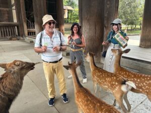 From Kyoto: Nara Guided Morning Tour - Kasuga Taisha: UNESCO lantern lanes and shrine atmosphere