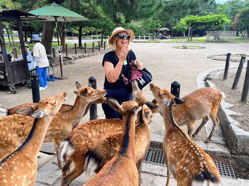 From Kyoto: Nara Guided Morning Tour - Nara Park deer time: sacred messengers with sharp manners