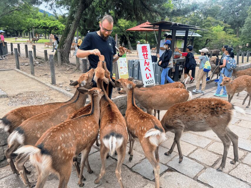 From Kyoto: Nara Guided Morning Tour - Todaiji Temple: walking into the Great Buddha Hall