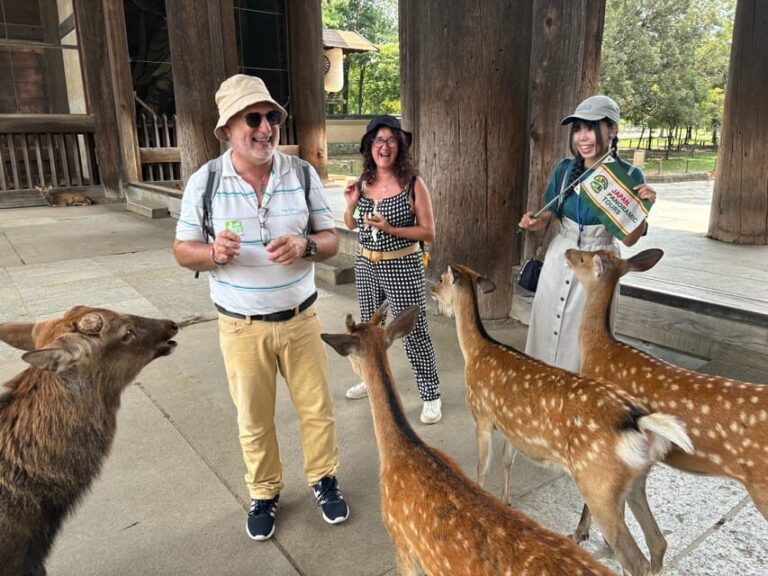 From Kyoto: Nara Guided Morning Tour - Kasuga Taisha: UNESCO lantern lanes and shrine atmosphere