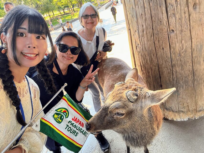 From Kyoto: Nara Guided Morning Tour - Should you book this Nara morning tour?