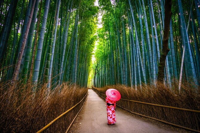 From Kyoto / Osaka: Kyoto Must-see Spots & Nara Park One Day Tour - The Real Secret: A Timed Route Through Three Icon Zones