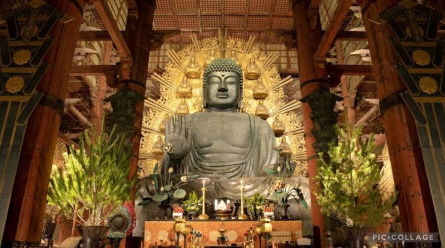 From Osaka/Kyoto: Private Kyoto & Nara Day Trip with Pickup - Kinkaku-ji Golden Pavilion: Gold Leaf in Three Floors