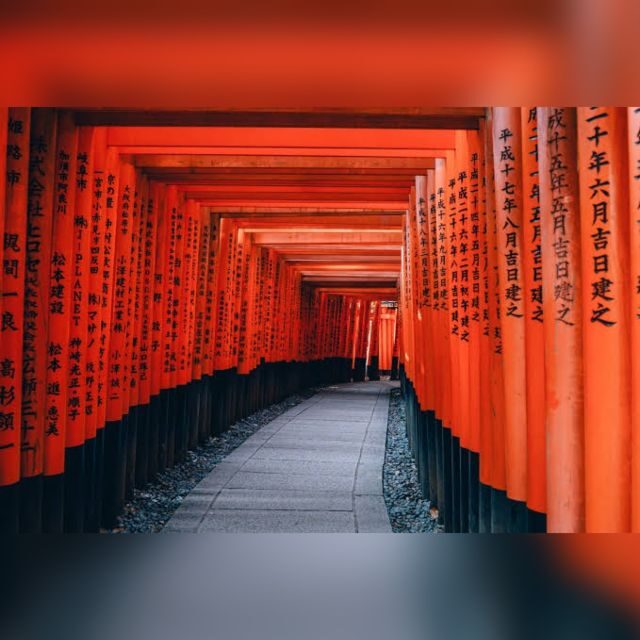 From Osaka/Kyoto: Private Kyoto & Nara Day Trip with Pickup - Nara Park Deer Encounters and the Walk Toward Todai-ji
