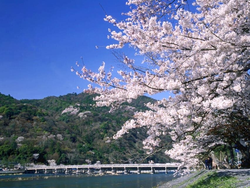 From Osaka: Sagano Train Ride and Kyoto Guided Day Tour - Key Things I’d Prioritize on This Tour