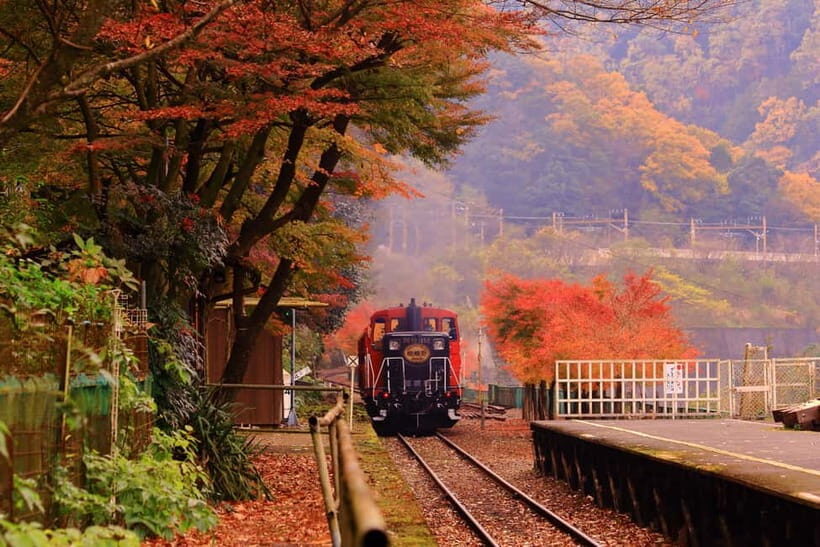 From Osaka: Sagano Train Ride and Kyoto Guided Day Tour - The Sagano Romantic Train Between Kameoka and Arashiyama (Season Views Included)