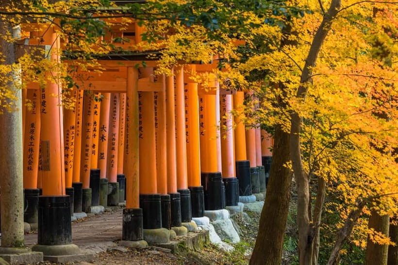 From Osaka: Sagano Train Ride and Kyoto Guided Day Tour - Arashiyama and Sagano Bamboo Forest: The Walk That Feels Like Kyoto Cinema