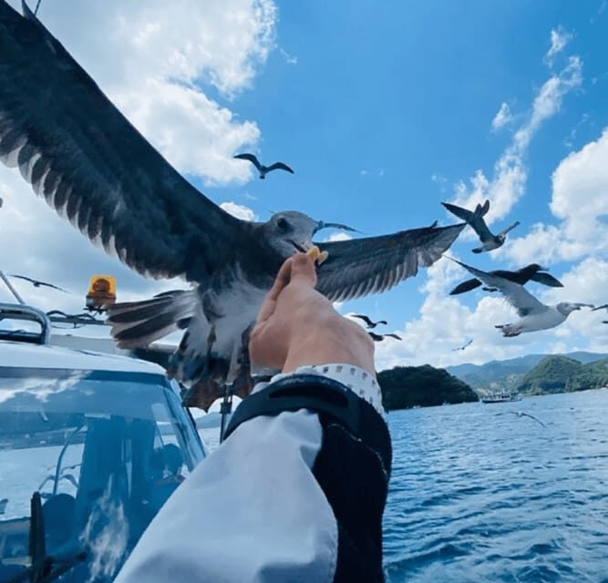FromOsaka/Kyoto:Hiroshima & Miyajima Private Tour with Lunch - A 12-hour private tour with two very different kinds of meaning