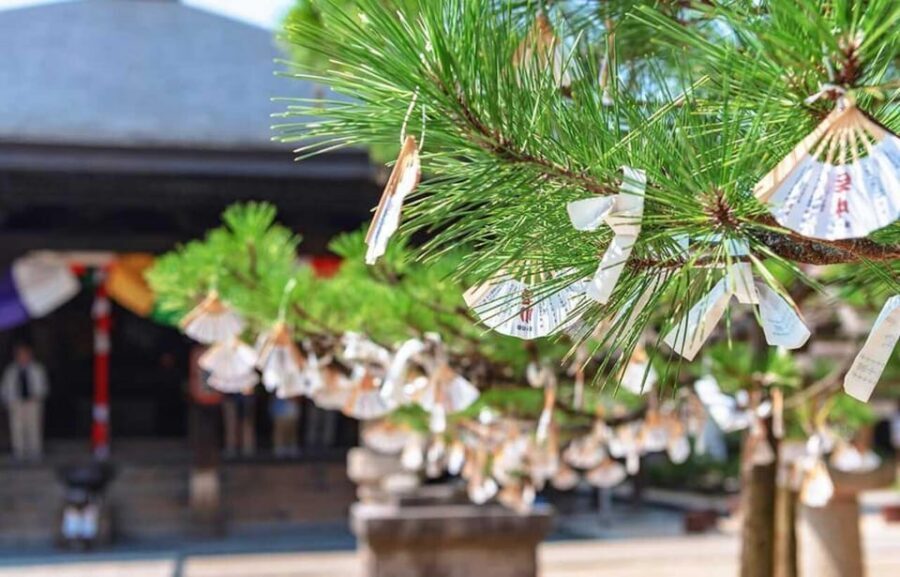 FromOsaka/Kyoto:Hiroshima & Miyajima Private Tour with Lunch - Miyajima by ferry: switch gears without losing the day’s flow