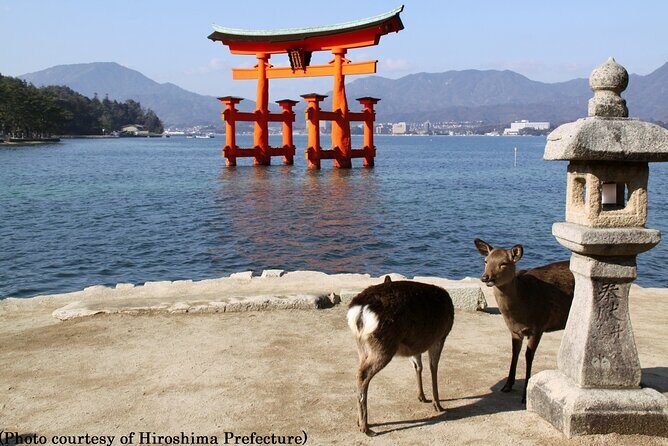 Full Day Hiroshima and Miyajima Tour by Bullet Train from Kyoto - Itsukushima Shrine: what to do with your one-hour stop