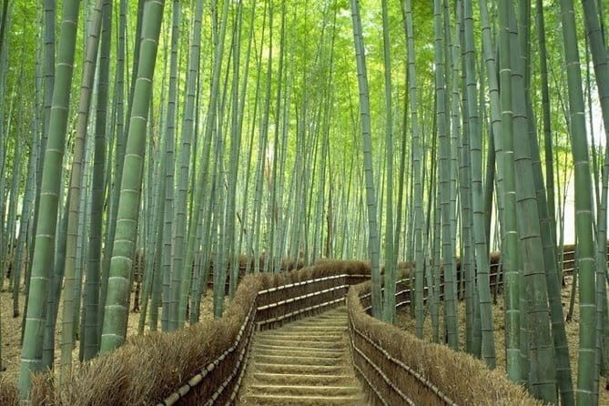 Full-Day Kyoto Group Tour with an Expert Local Guide - Stop 2: Kiyomizu-dera Temple and How to Plan for the Ticket