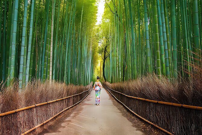 Fushimi Inari - Arashiyama: Torii Gates, Bamboo, Monkeys & Secret - Guides and pacing: why the day feels easy despite the walking
