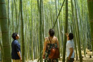 Fushimi Inari Hidden Hiking Tour (Private Option Available) - Starting from FamilyMart Nakai Tofukuji and getting your bearings fast