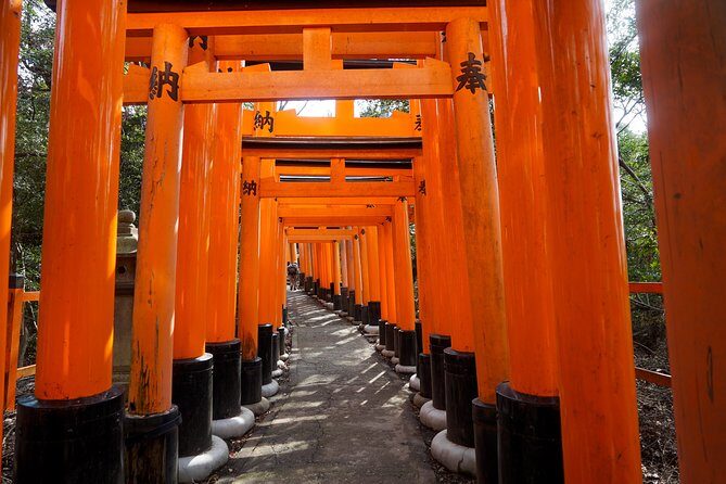 Fushimi Inari Hidden Hiking Tour (Private Option Available) - Passing Tofuji and easing into the quieter route
