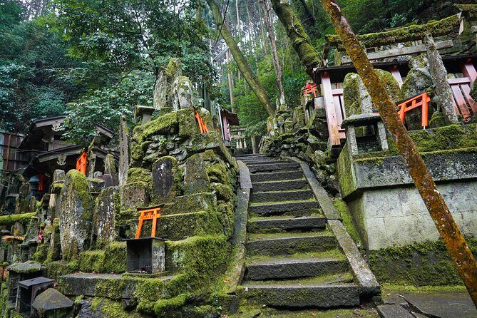 Fushimi Inari Hidden Hiking Tour (Private Option Available) - The main hike: Fushimi Inari-Taisha’s hidden trail, bamboo, and a side shrine