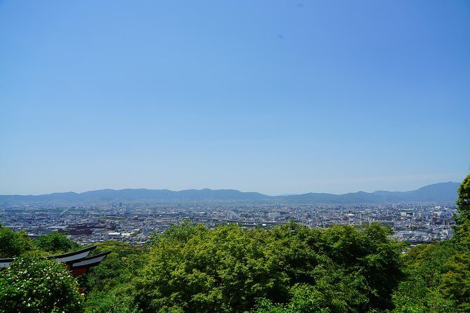 Fushimi Inari Hidden Hiking Tour (Private Option Available) - How the group size changes everything on a trail