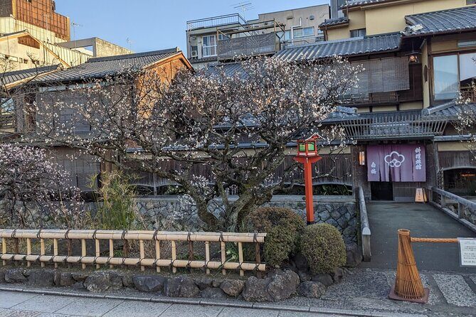 Gion Nocturno: Secretos y Leyendas de las Geishas - Gion al anochecer: por qué el ruido del día no te ayuda