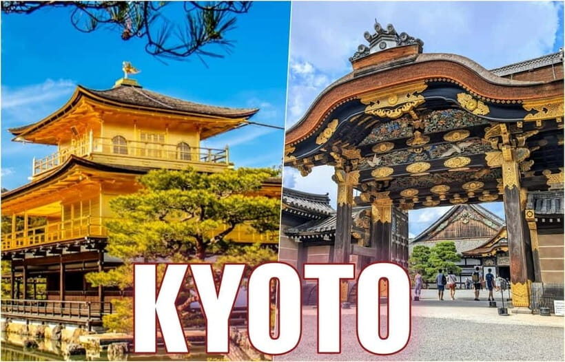 Golden Pavilion, Nijo Castle, & Nishiki Market Half day tour - Meeting Point at Kyoto Station: Easy Start, Clear Target
